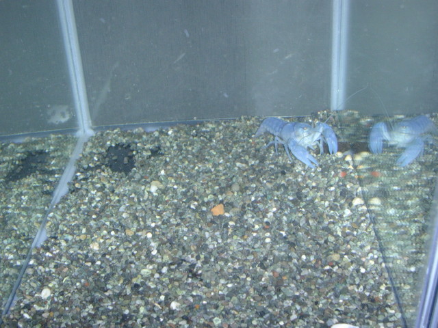 img0149.jpg