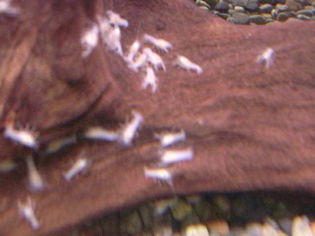 img0163.jpg