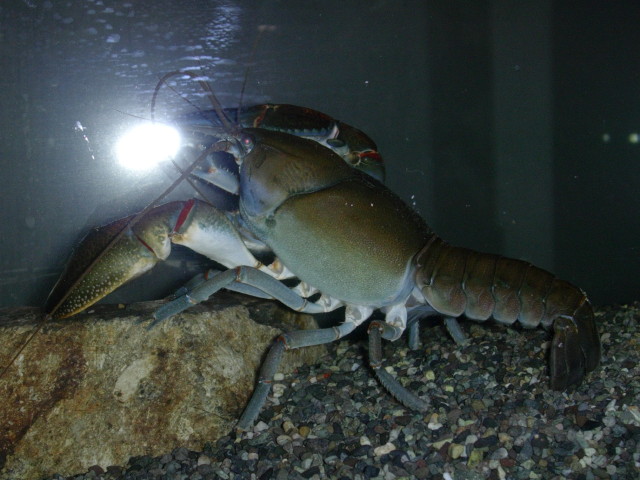 img0180.jpg
