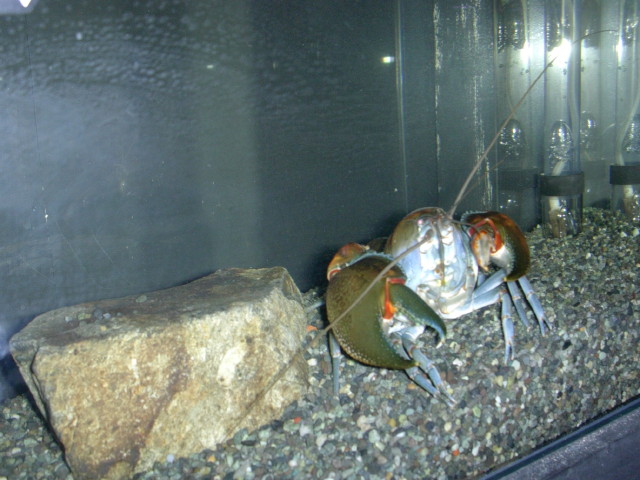 img0198.jpg