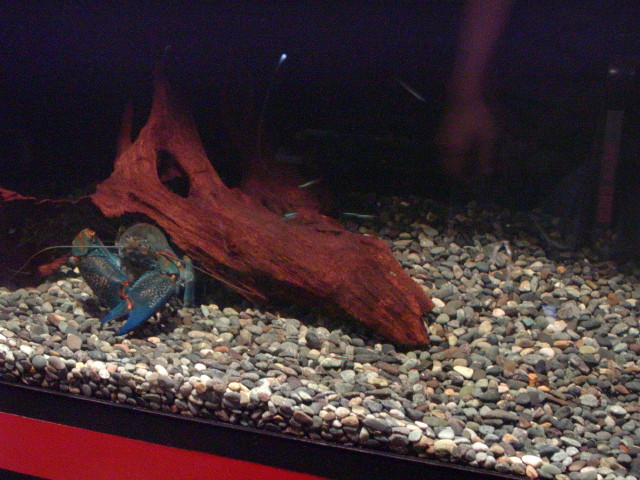 img0216.jpg