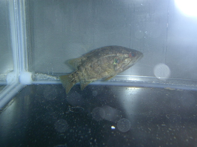 img0238.jpg