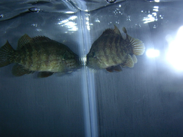 img0240.jpg