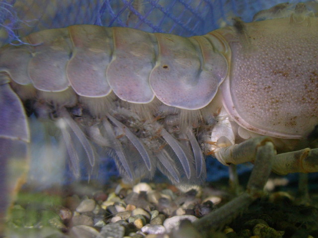 img0285.jpg