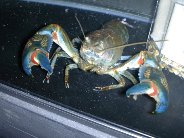 img0293.jpg