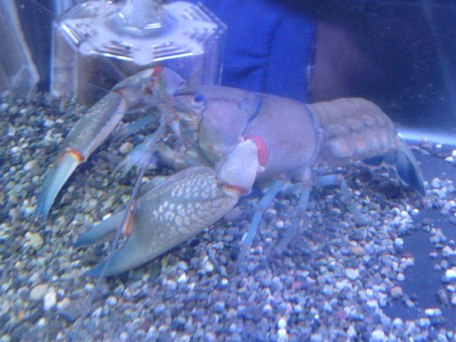 img0333.jpg