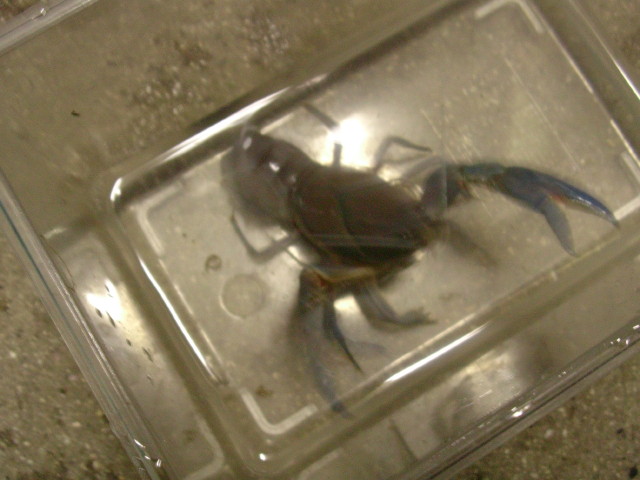img0335.jpg