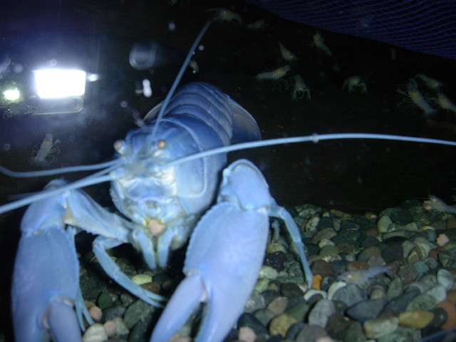img0376.jpg
