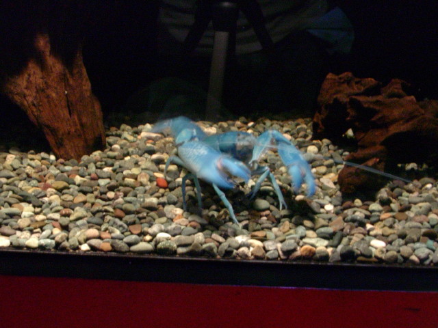 img0411.jpg