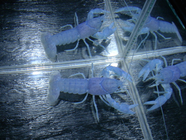 img0431.jpg