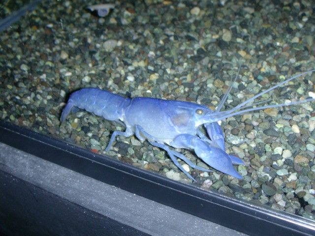 img0441.jpg