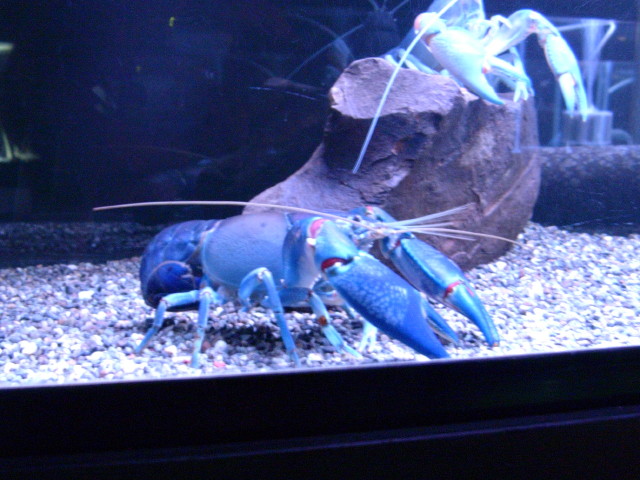 img0495.jpg