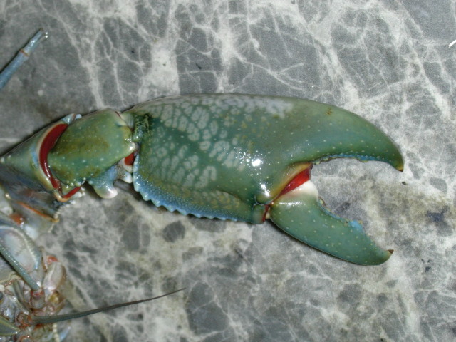 img0511.jpg
