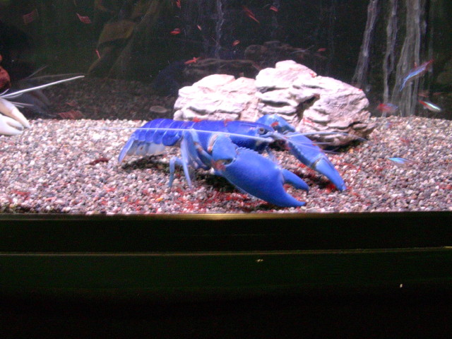 img0532.jpg
