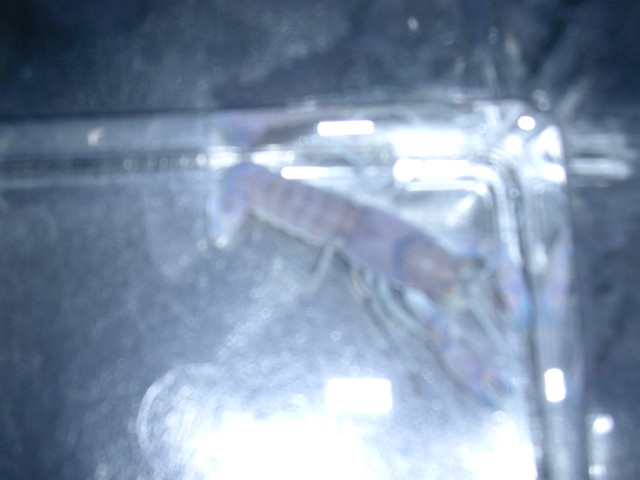 img0542.jpg