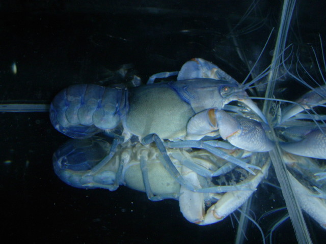 img0559.jpg