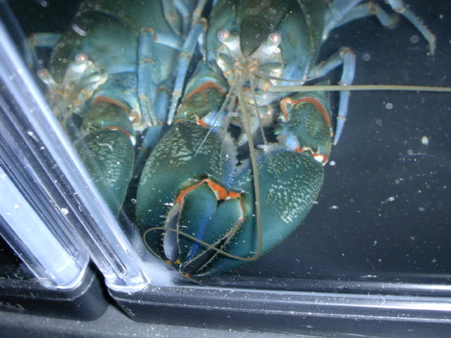 img0602.jpg