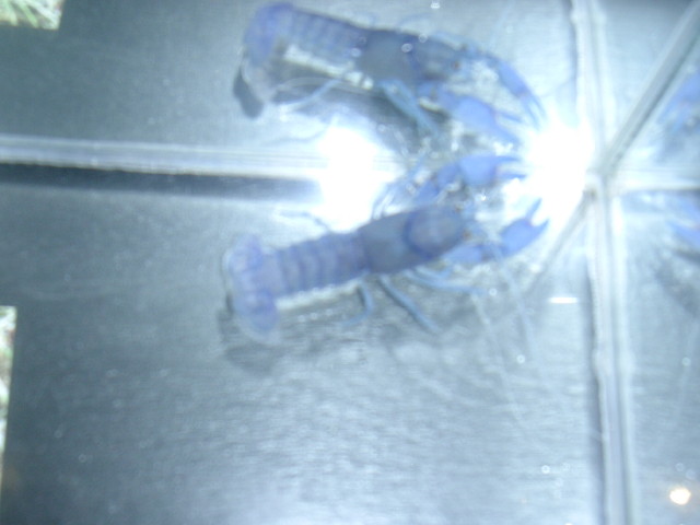 img0609.jpg