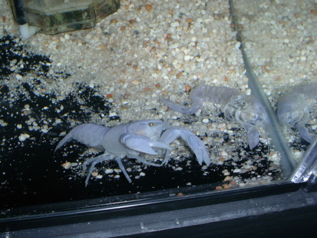 img0624.jpg