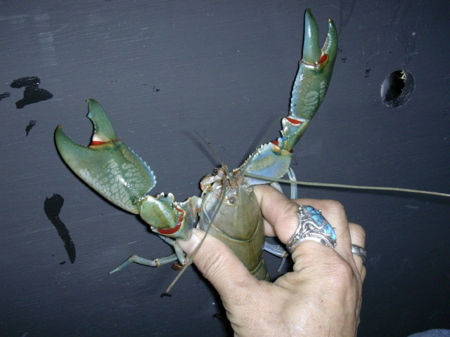 img0664.jpg