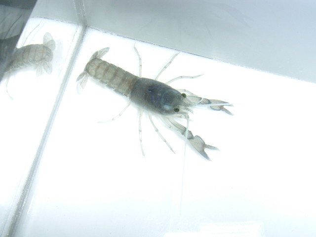 img0672.jpg