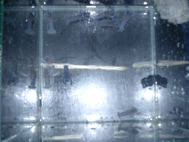 img0723.jpg