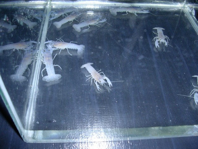 img0726.jpg