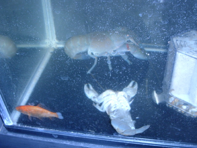 img0841.jpg