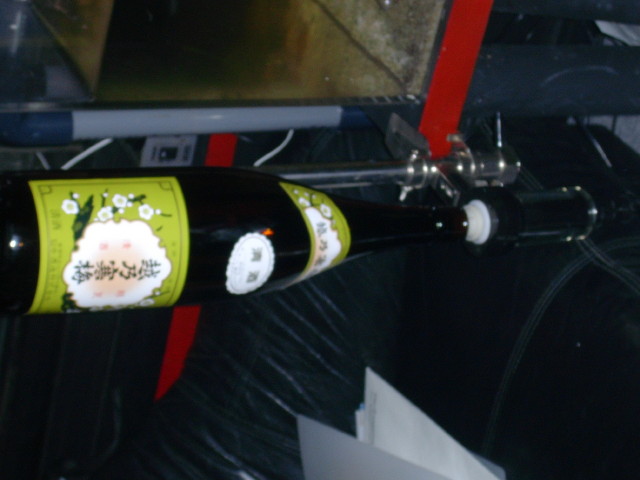 img0845.jpg