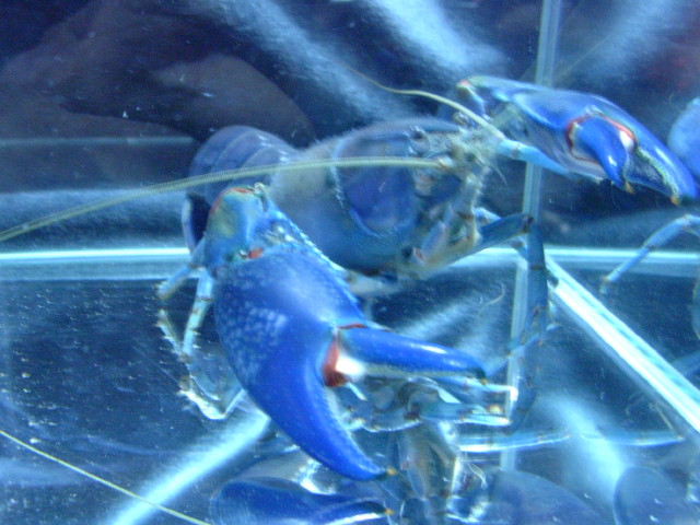 img0874.jpg