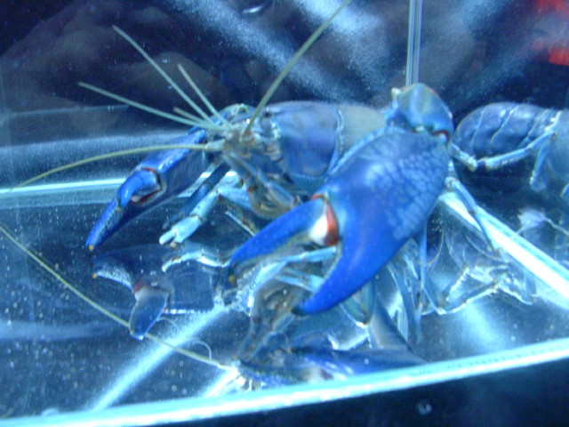 img0877.jpg