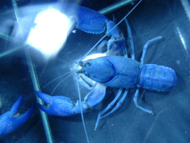 img0951.jpg